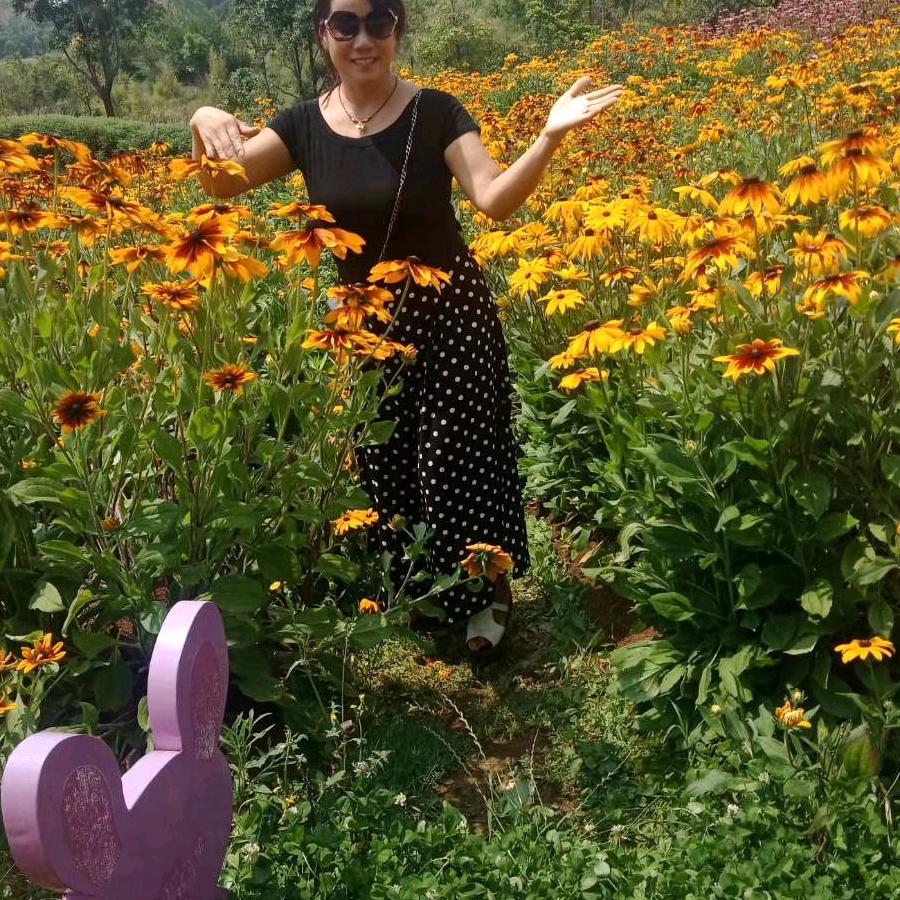 开心过好每一天