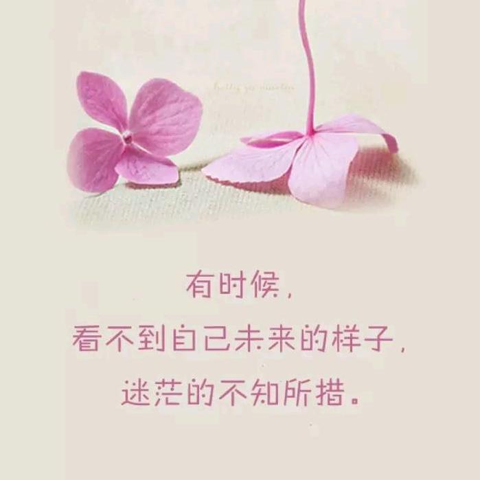 简简单单就好&