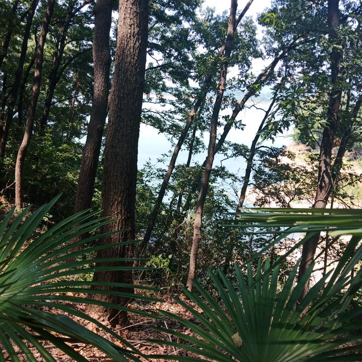 瞌睡虫、流鼻涕