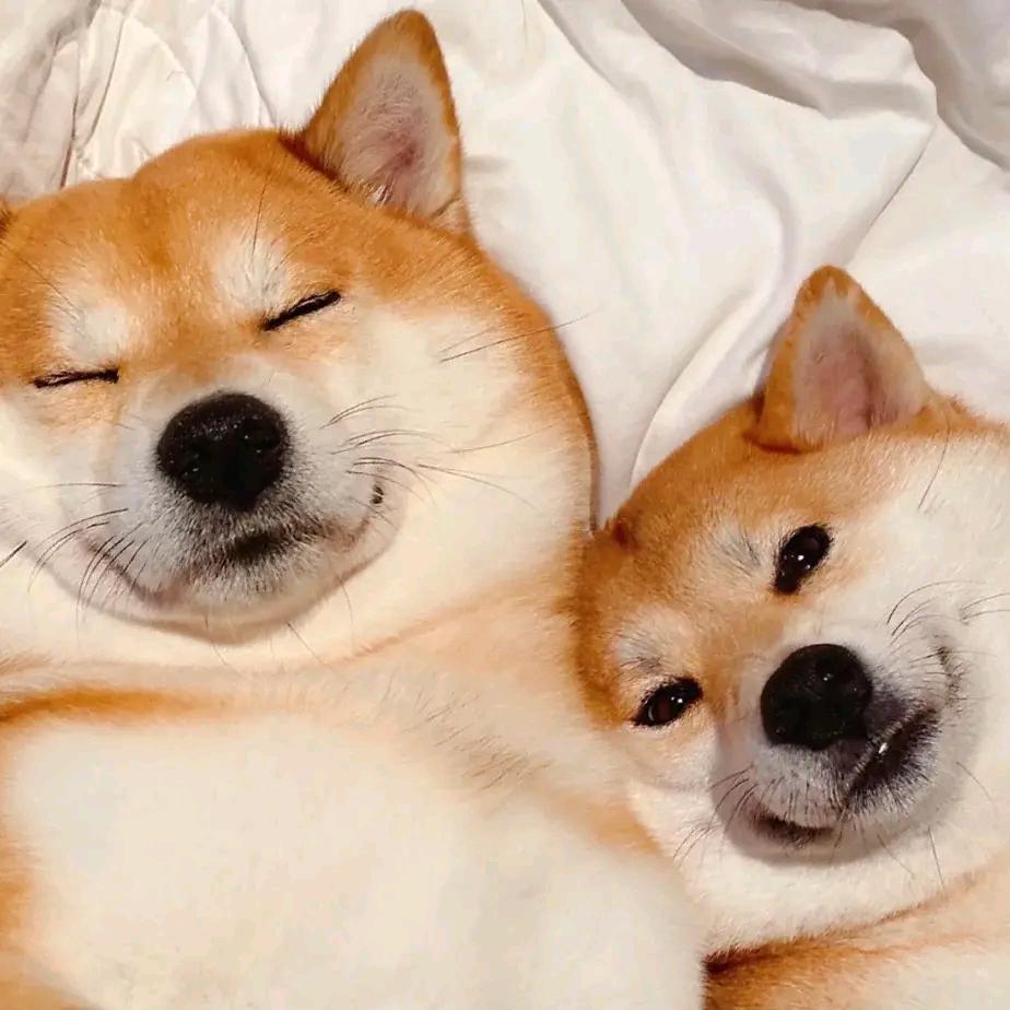 网名