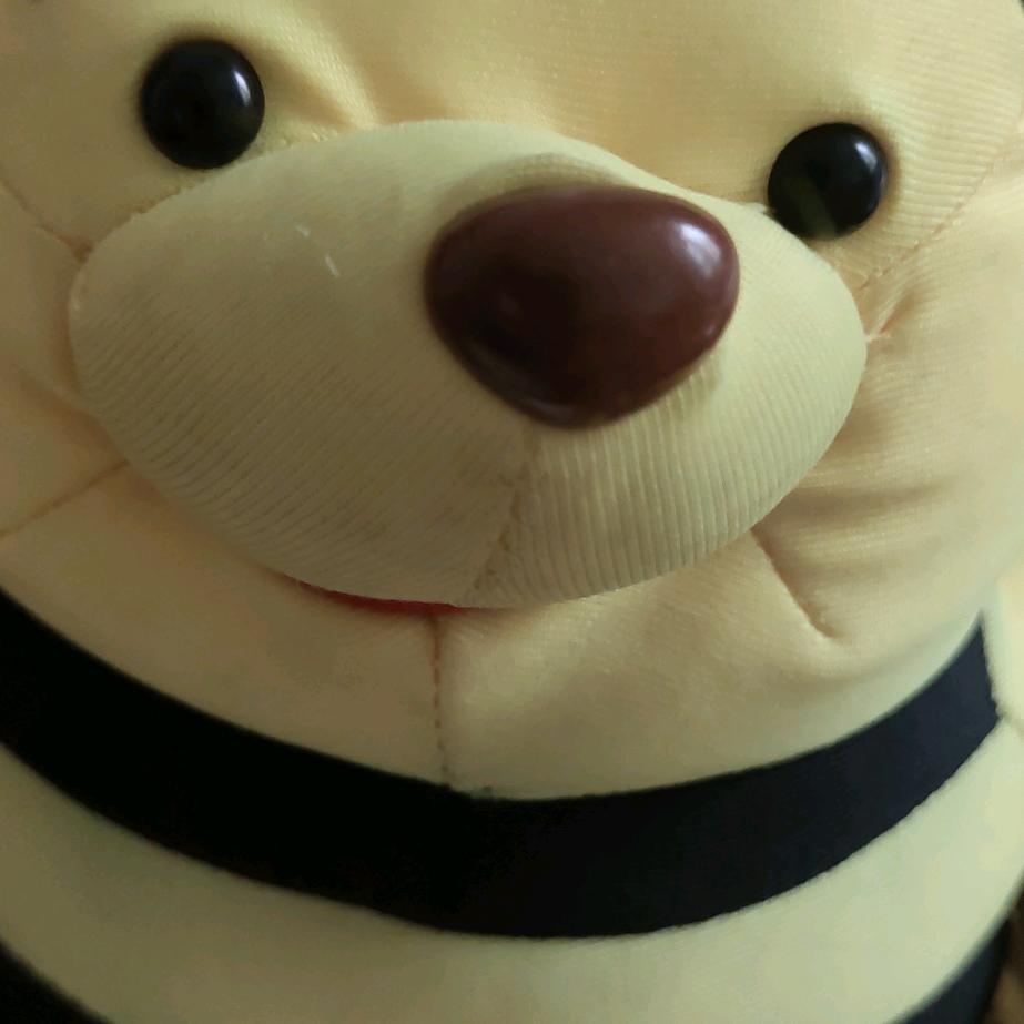 西晨