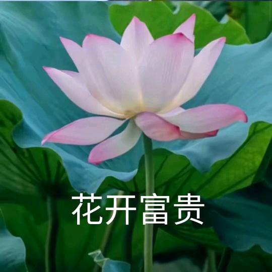 粉刷家
