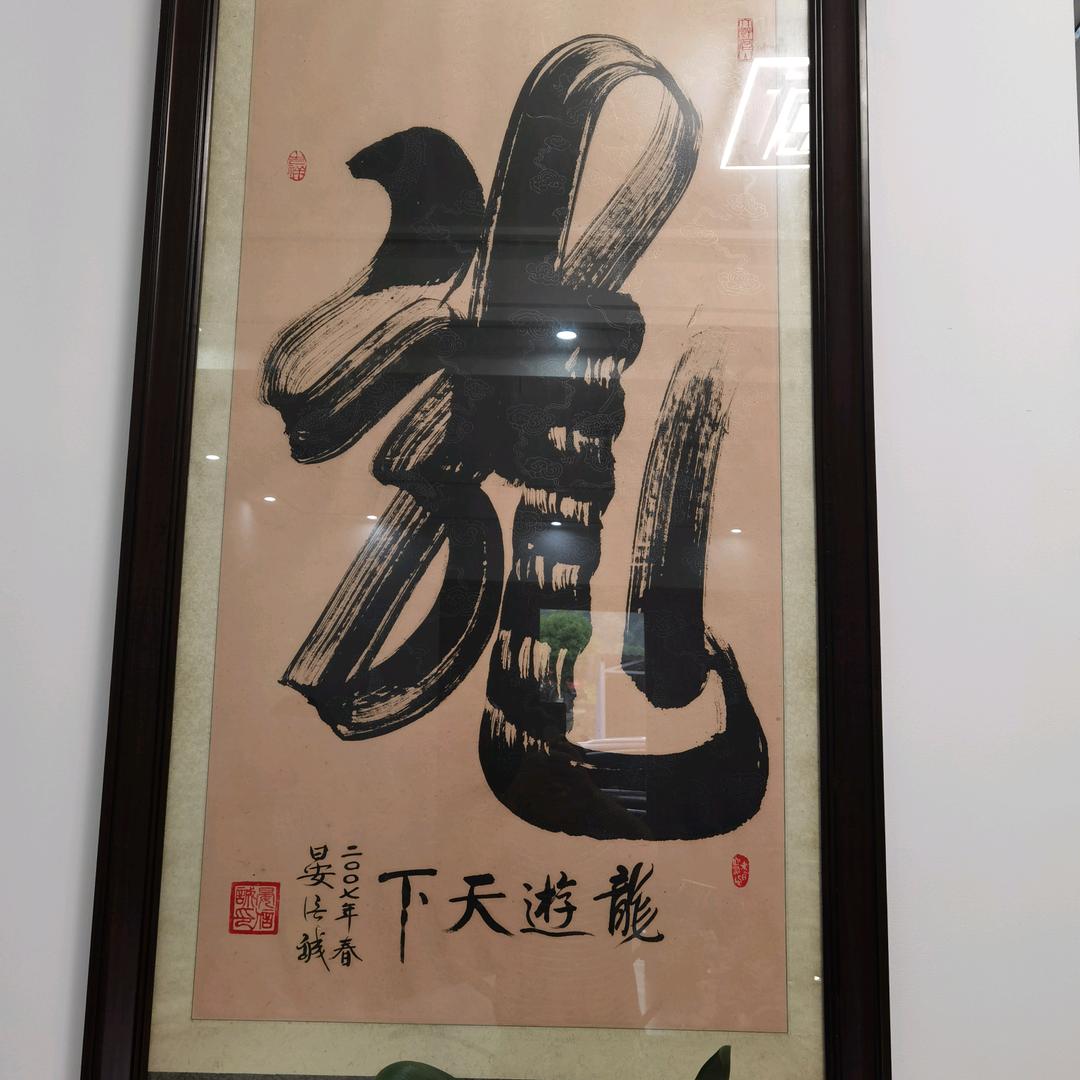 龙游天下