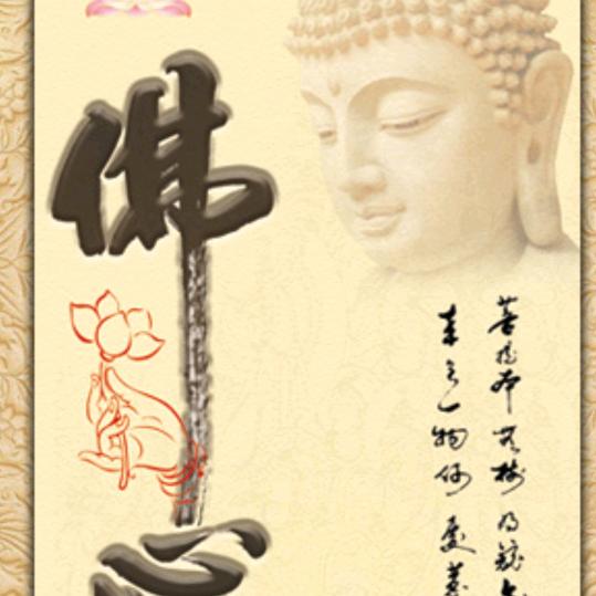静儿🍀（素食者）