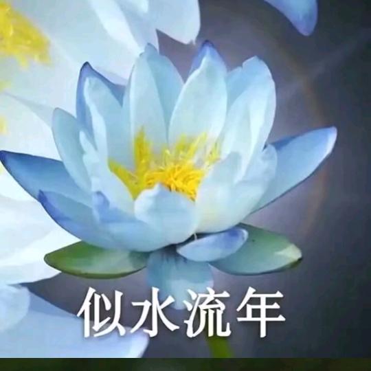 小🌸