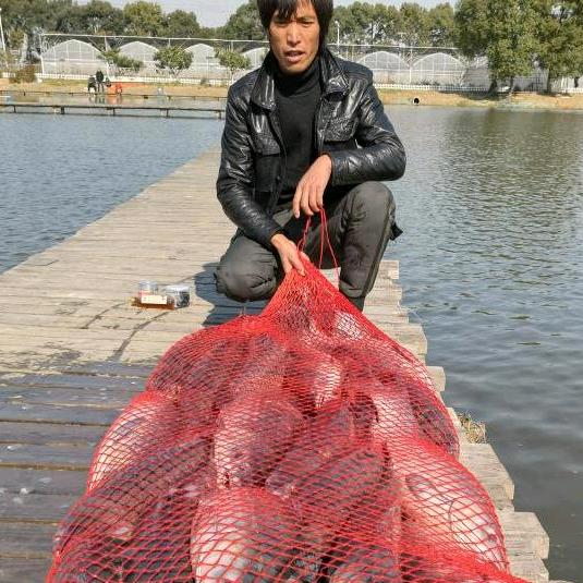 疯哥钓大物