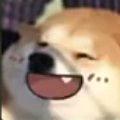 小邓嘿嘿