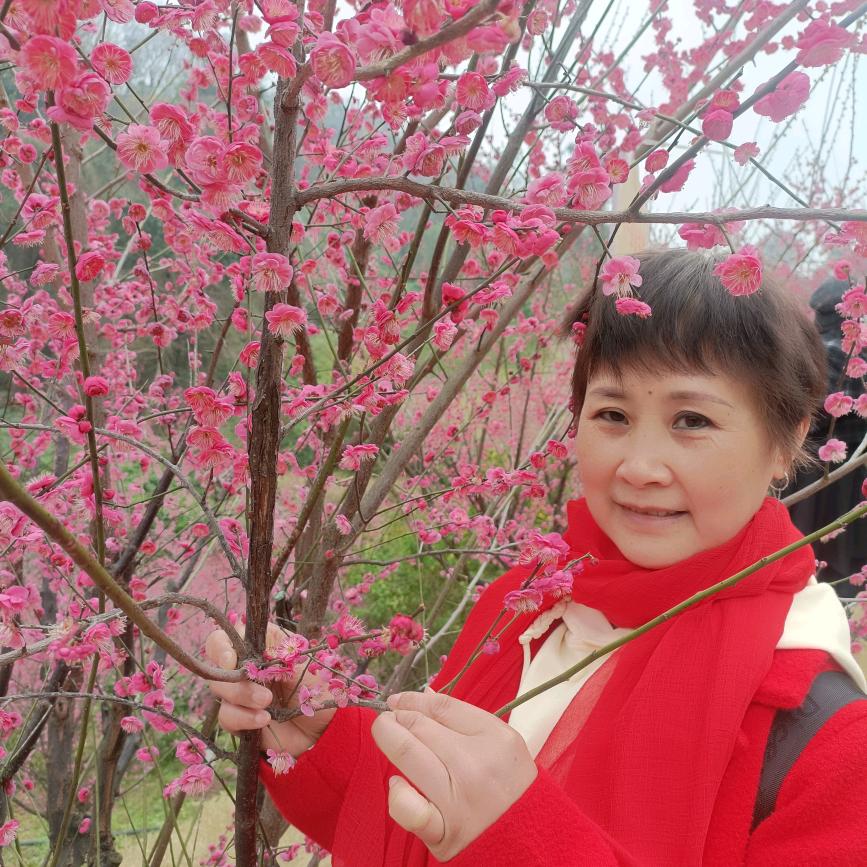 ~女人花～
