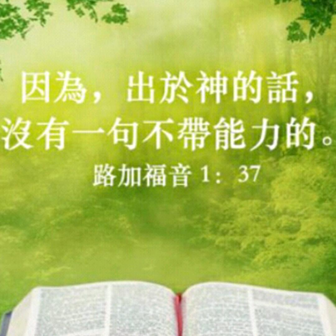 ✨喜乐的心乃是良药✨
