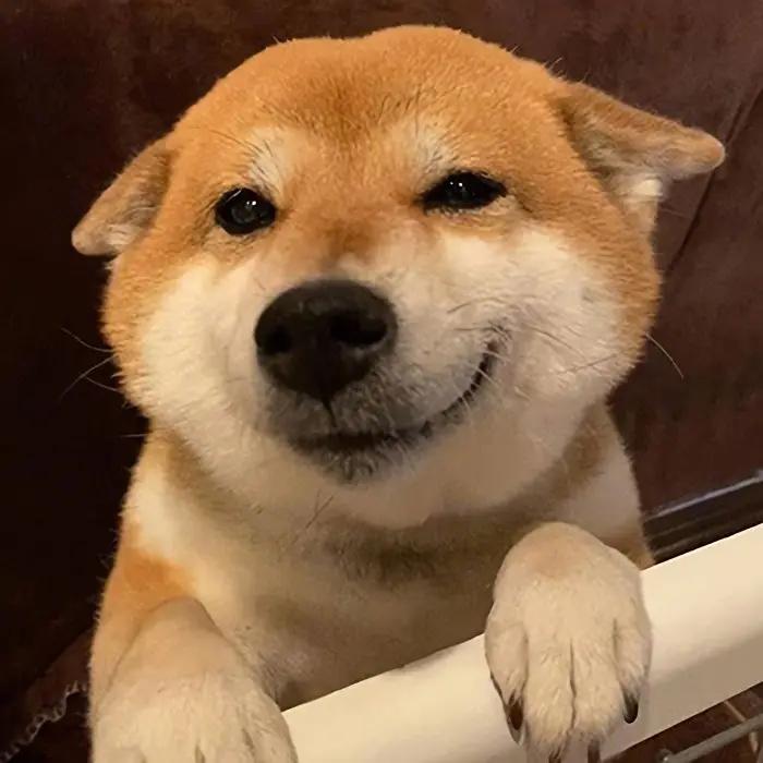 等风来🌪️