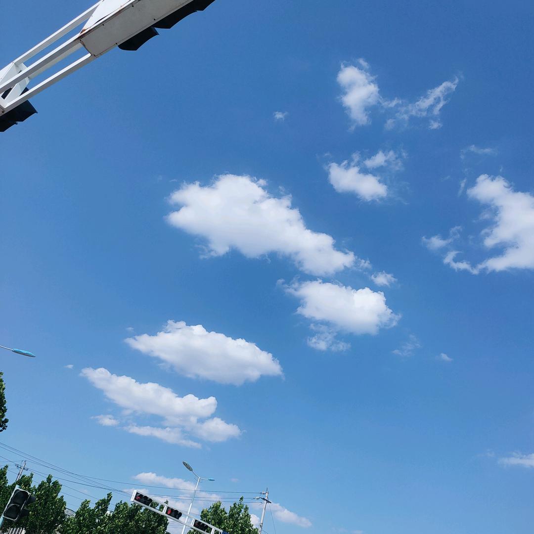 紫藤花99