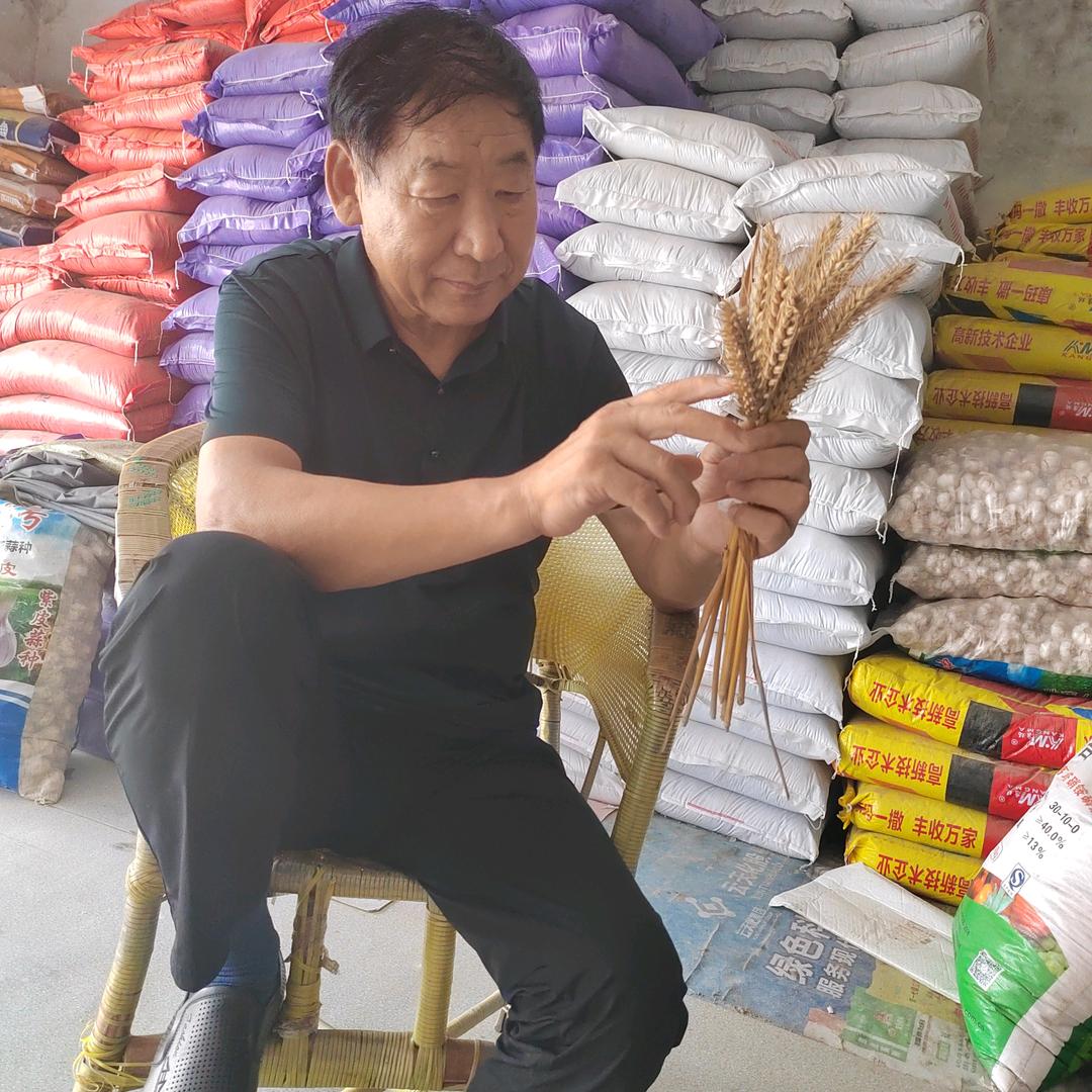 杞县高尚文农资店