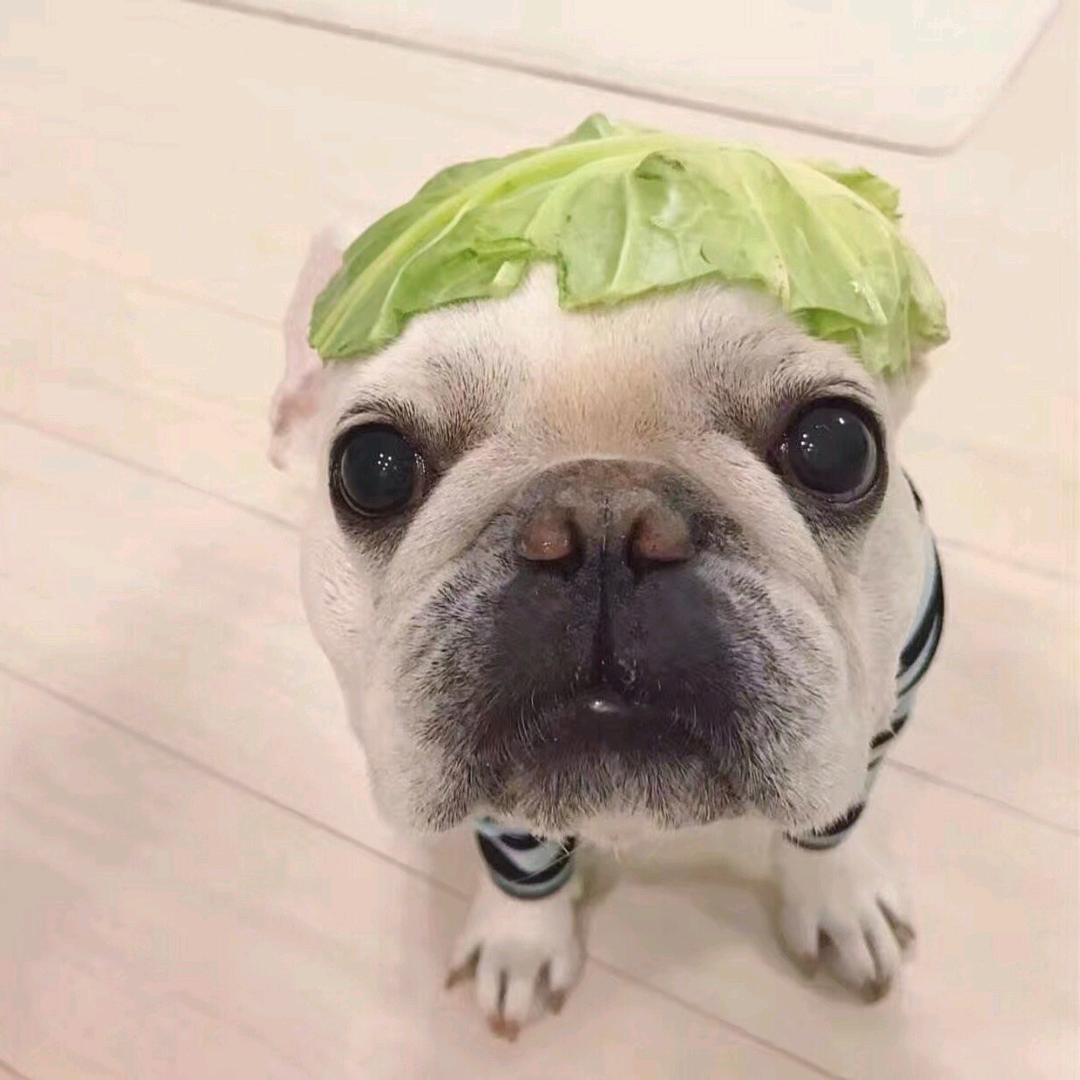 特邀嘉宾。