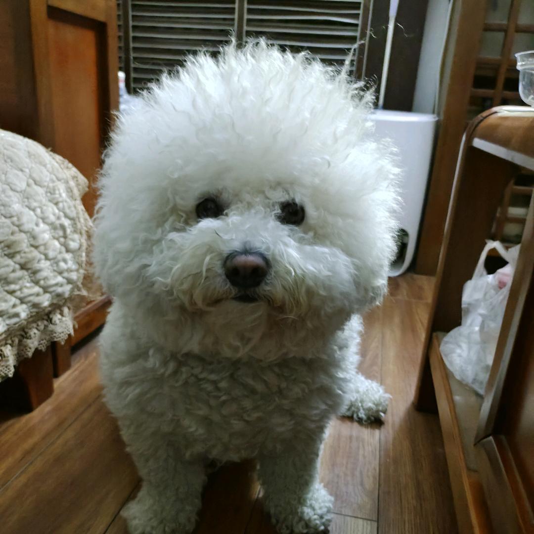 晒太阳的宝贝爱发呆