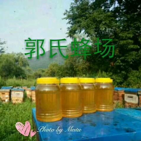 相知相惜养蜂人