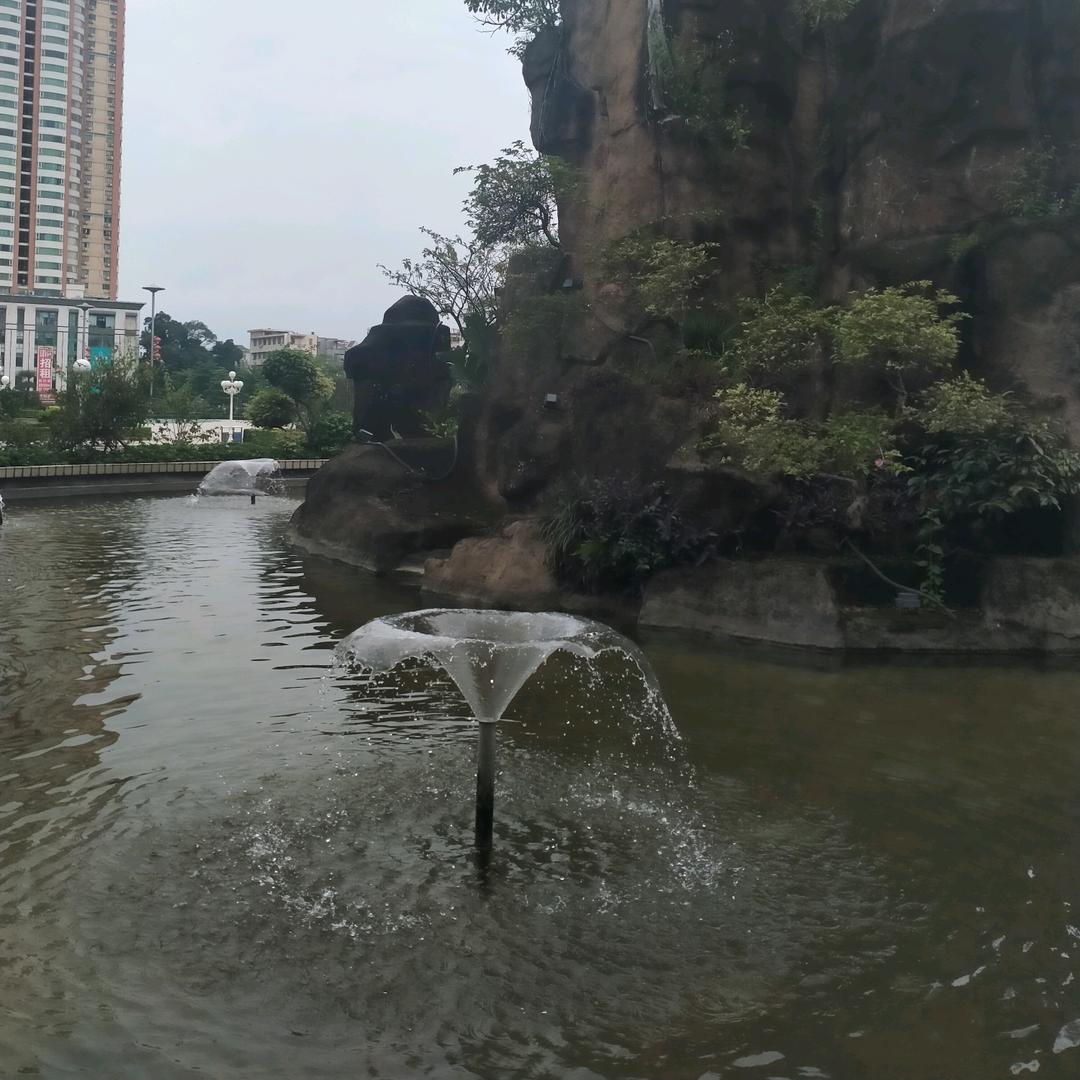 沉默是鑫🌸🌸🦋