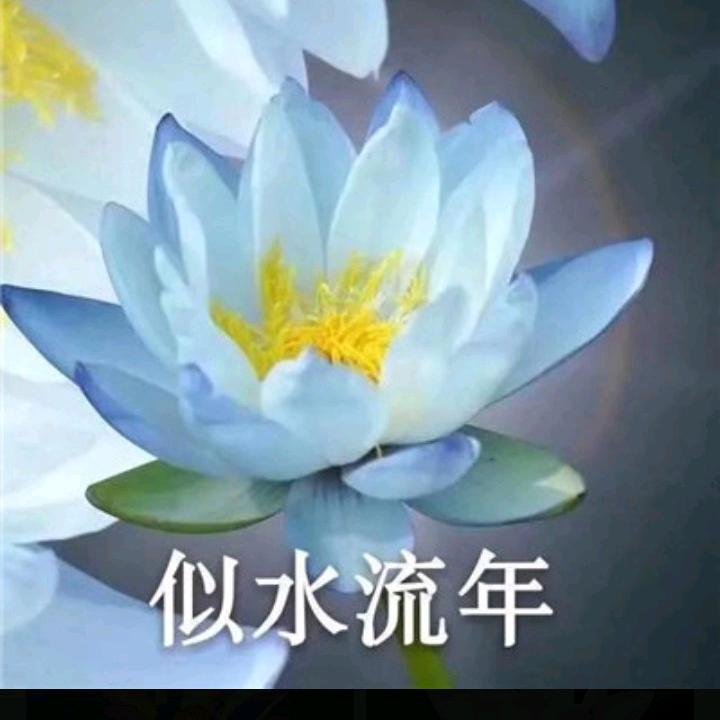🕊ঞꦿ回不到້ᮨꦿ曾经້ꦿ᭄