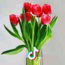 为了明天奋斗65