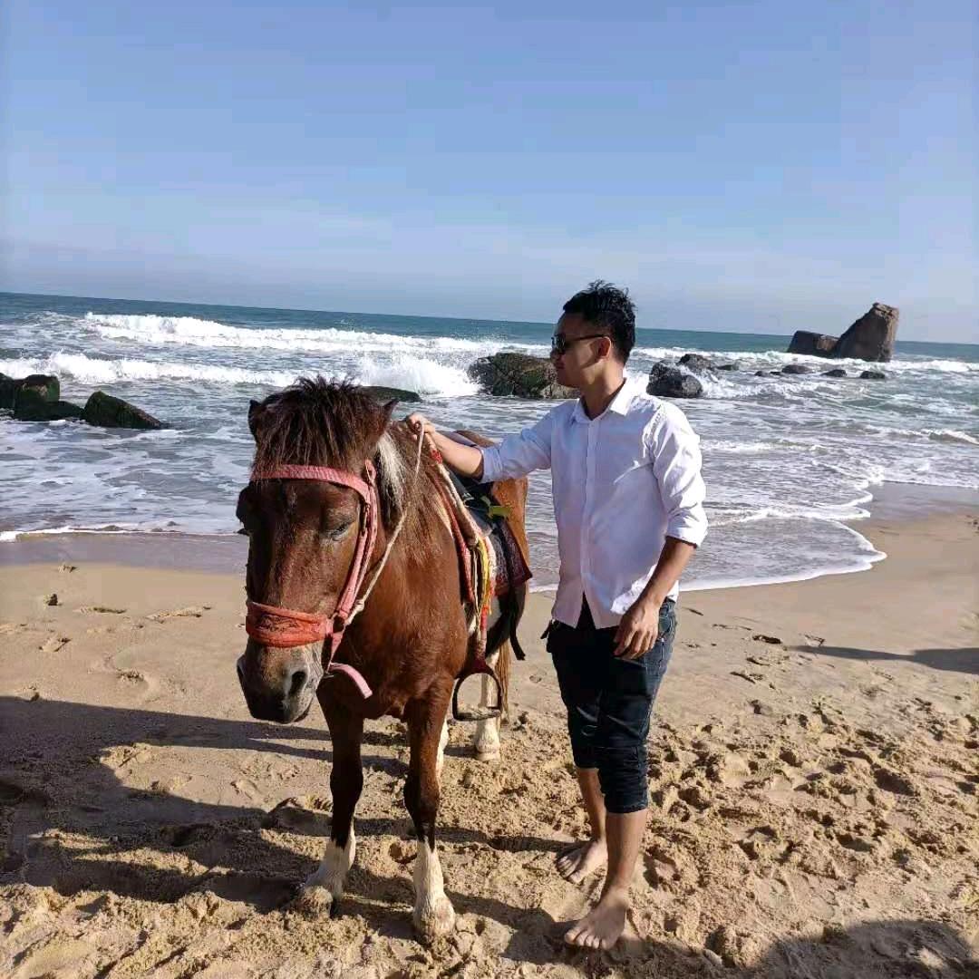 聪明的聪