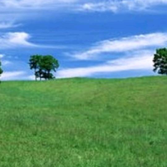 未闻花开静听雨