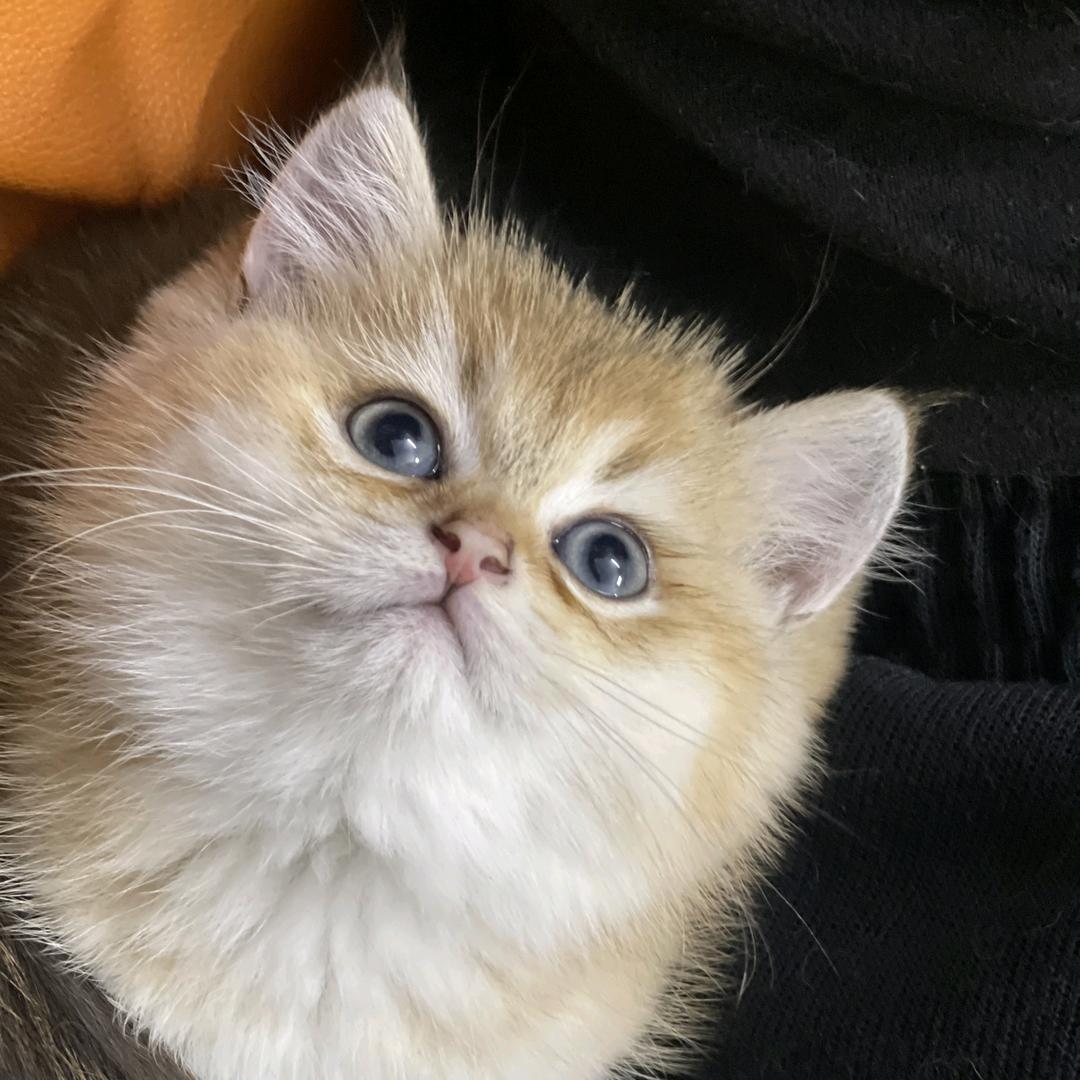 小陈不闲人