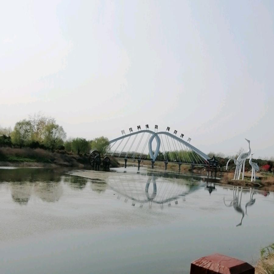 夏邑电商培训苗苗