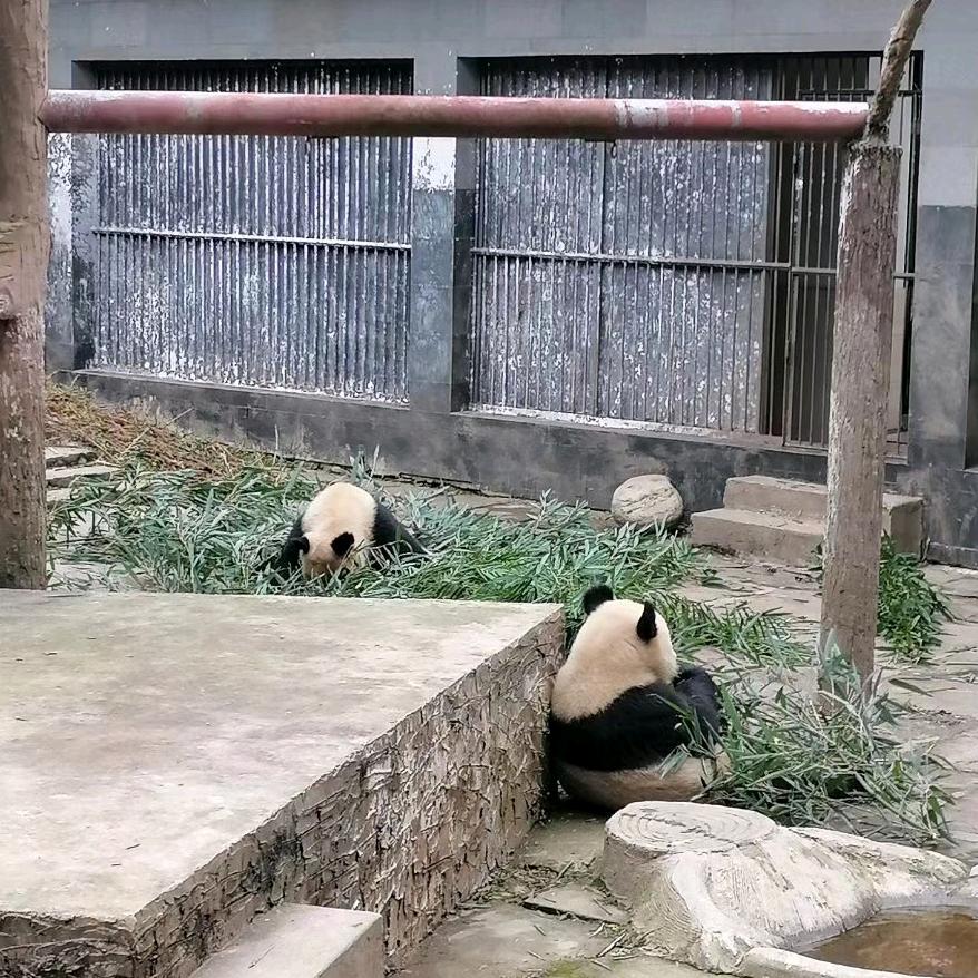 想你的……天😀