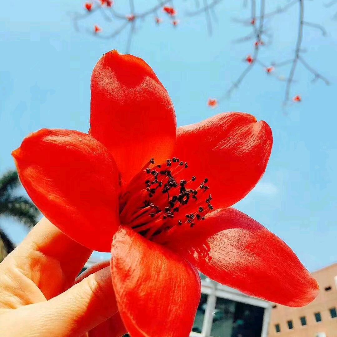 小橙橙🍊🍊
