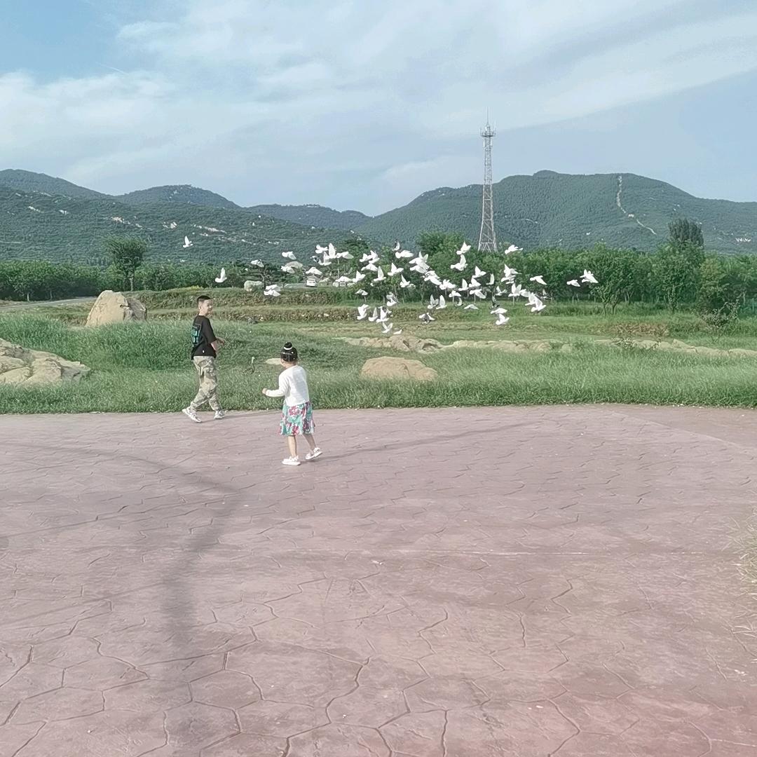 完美