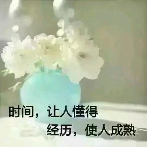 未来℡