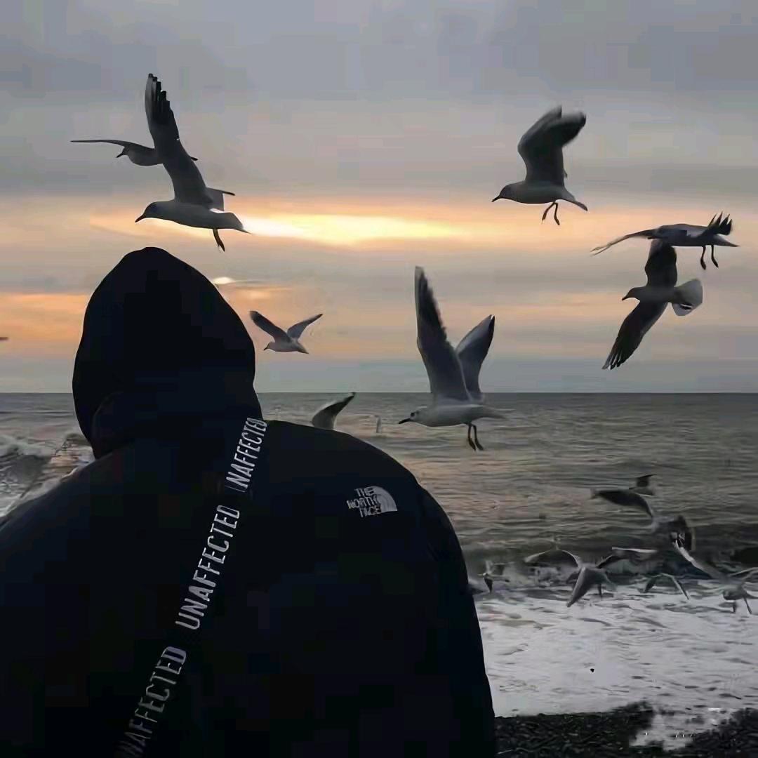 苏澈(三角洲行动)