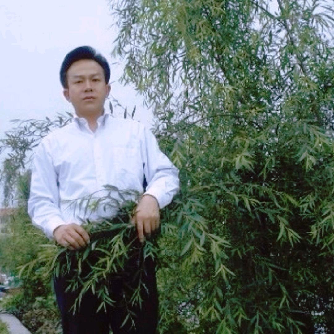 水木清华