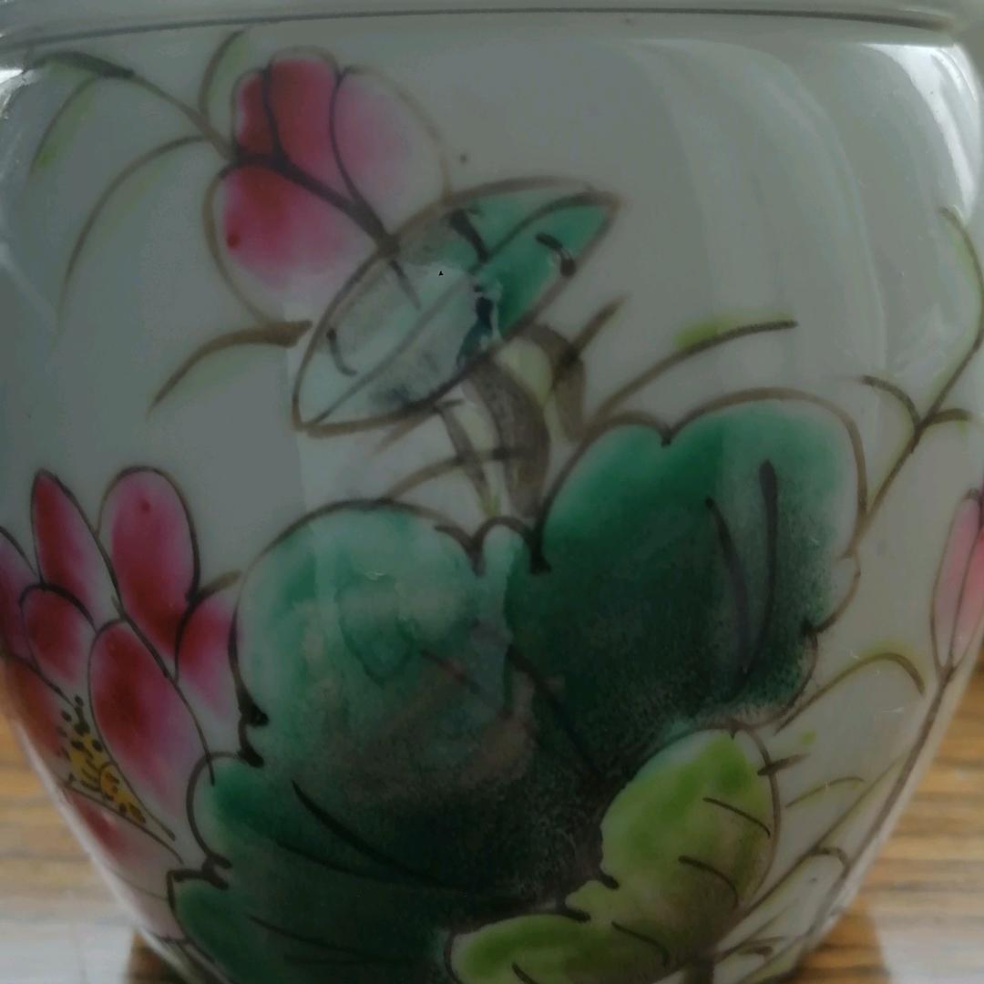 草莓小雨
