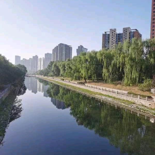 大  海