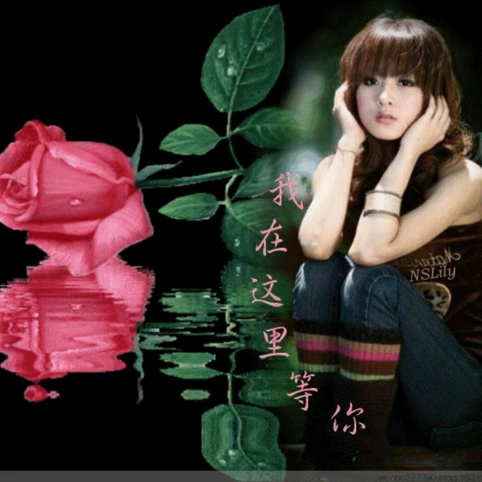 🌹美好的回忆🌹