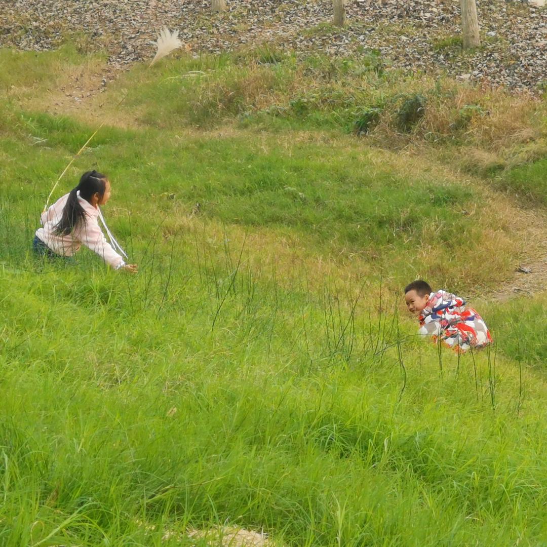 诚信包子(亮哥)