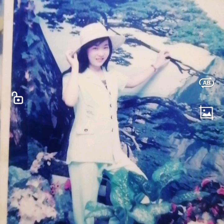 感悟🌳人生