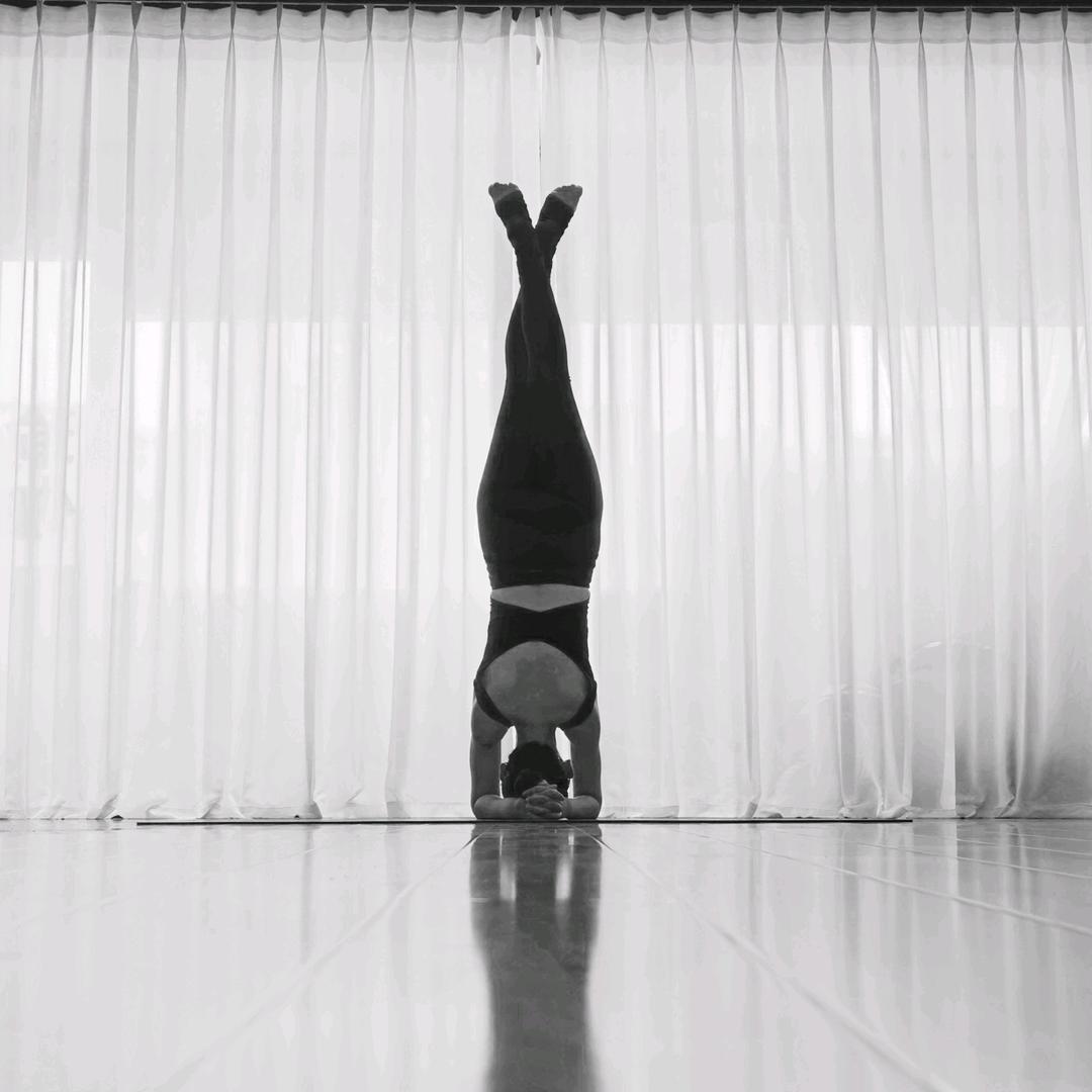 谷子瑜伽普拉提