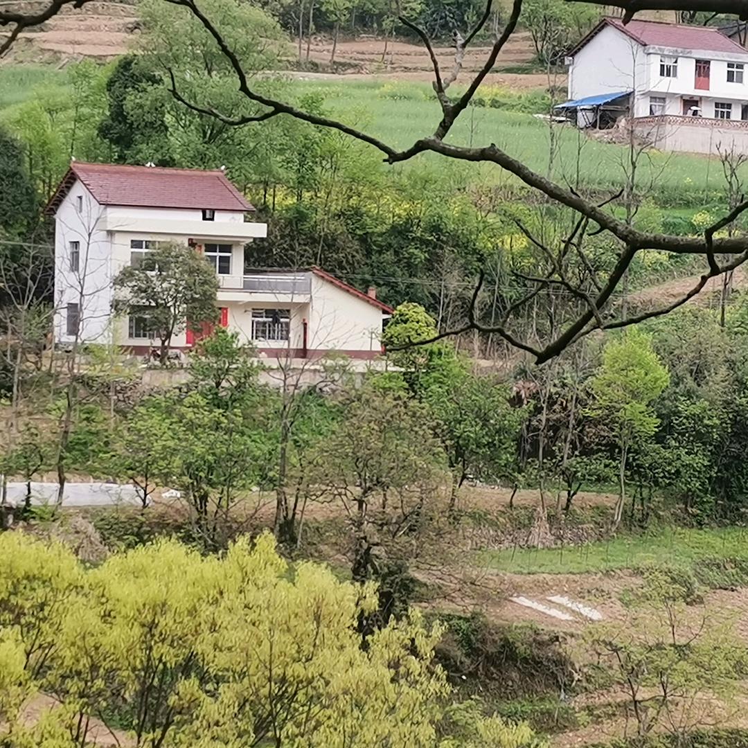 书道风华（练习行楷对联，四字作品）