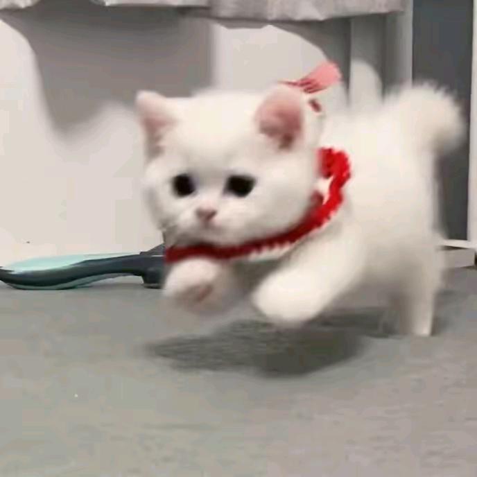 和平精英微群绝不会玩王者