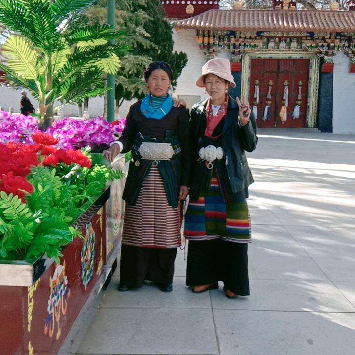 无情的社会