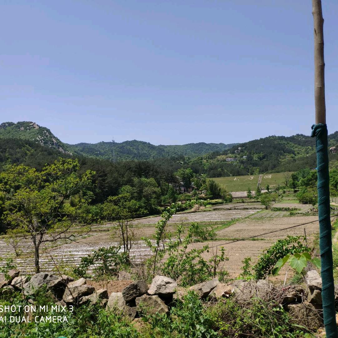 uuUR让人如意湖好好