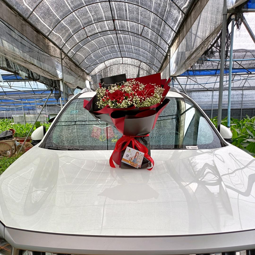 广州雨韩园艺（李旭龙）