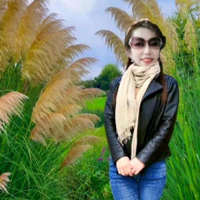 🌹🌻嬷嬷🌻🌹