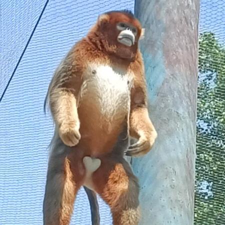 有做钢结构的兄弟们可联系我