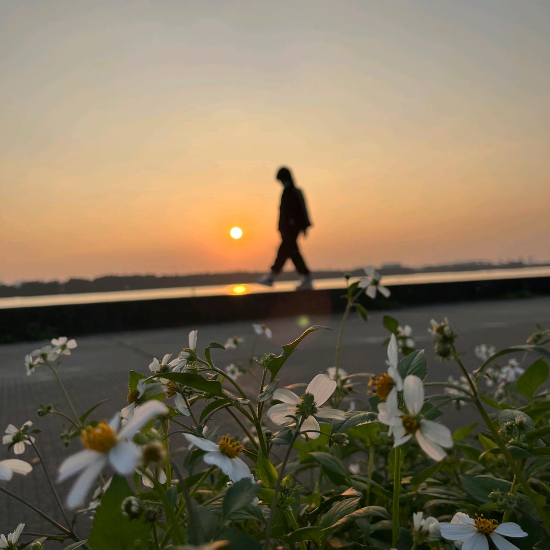不将就lll