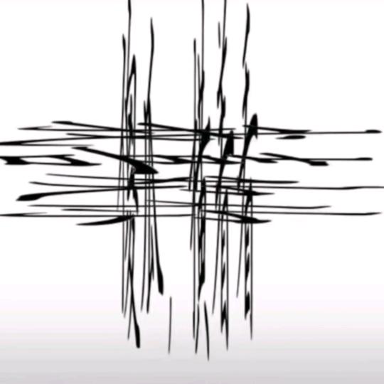 小轩轩