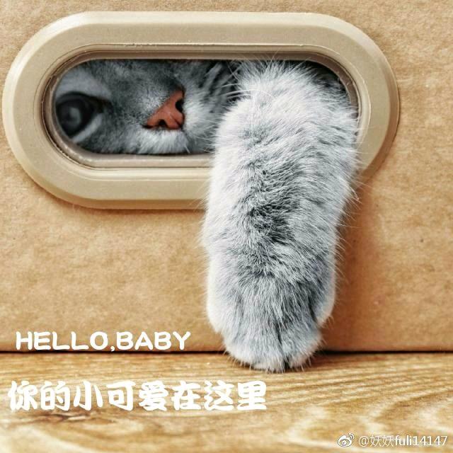 九八九八
