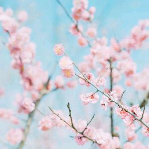 种太阳☀️童装