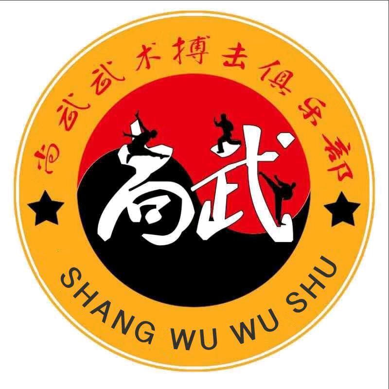 尚武武术搏击张教练